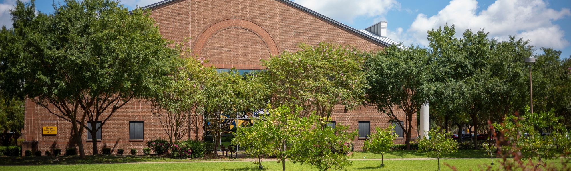 Campus on a sunny day.