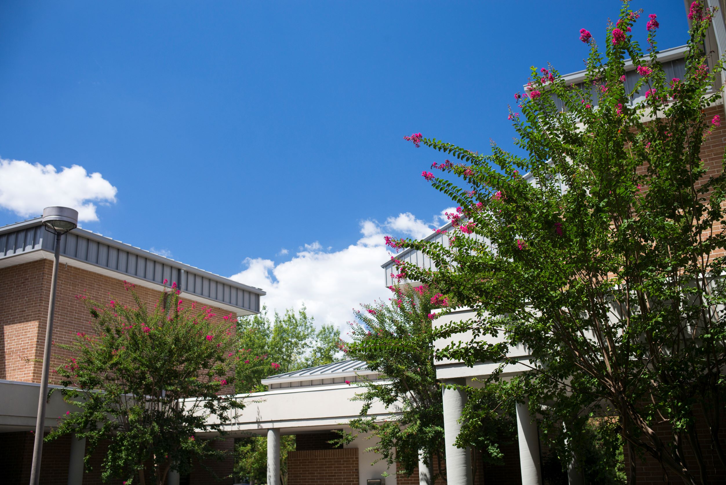 TCC Stem Courtyard