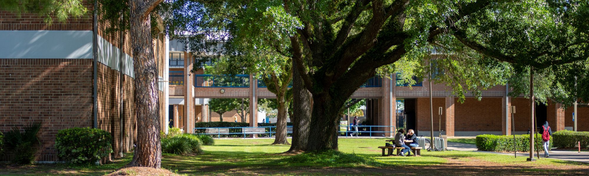 Wide shot of the Cumbie entrance of the student union