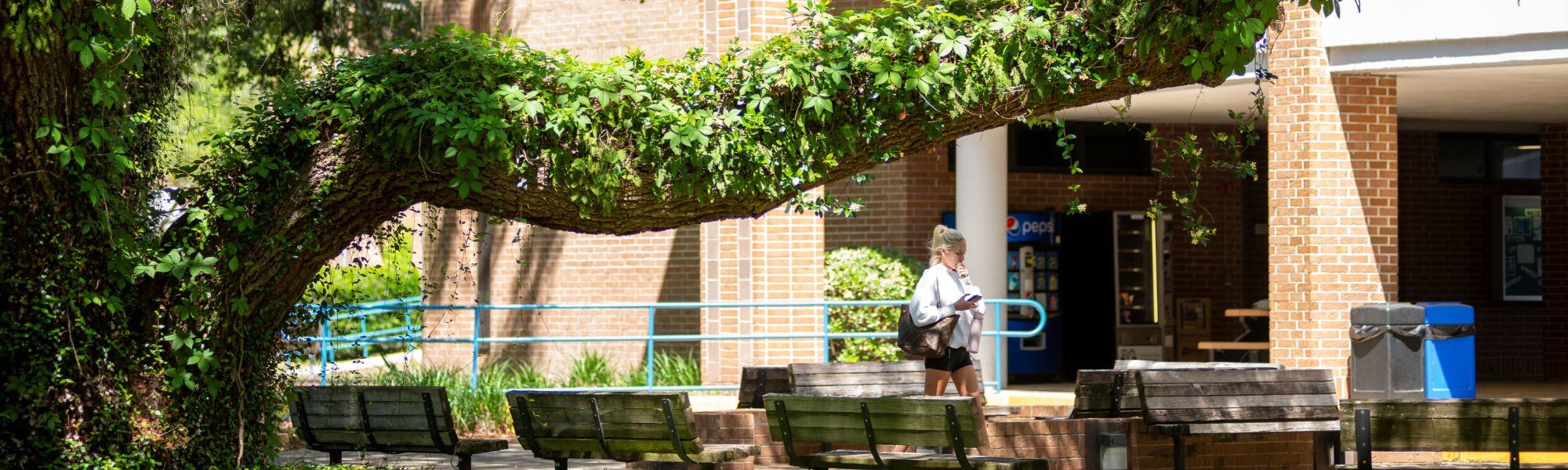 Students walking on campus