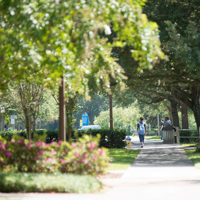 Students walking on campus on a sunny day